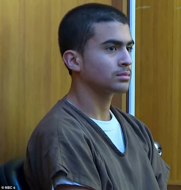 Derek Rosa, 13, (pictured at an earlier hearing) was heard in a chilling recording telling a detective he 