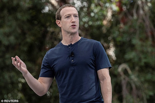 The ultra-rich duo claim Zuckerberg (above) isn't doing enough to remove AI-generated scam ads from his social media platforms, like Facebook and Instagram