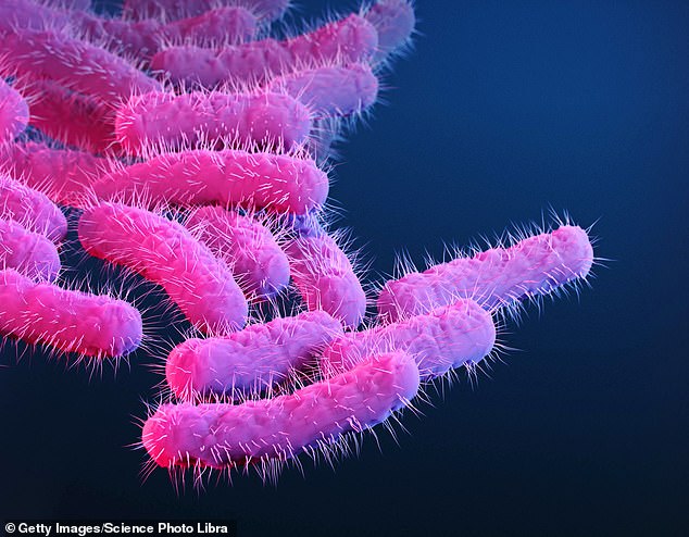 Shigella bacteria contain a 'switch protein' called VirB, which causes the bacterium to cause serious gastrointestinal diseases in humans