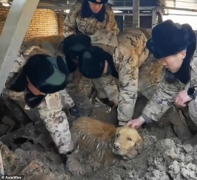 This is the moment a sweet dog was rescued from the rubble by a group of soldiers