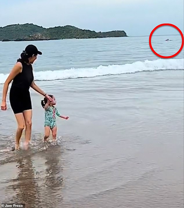 Horrifying moment young couple accidentally film Canadian tourist 76 being