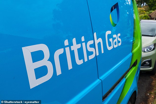 Energy support: Both £1,500 grants are administered by British Gas' Energy Trust division