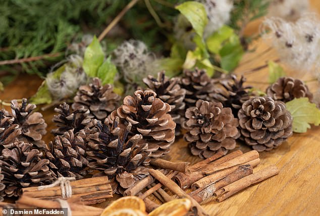 Foraging: With a little homework beforehand, you can identify plants you might want to put in a wreath