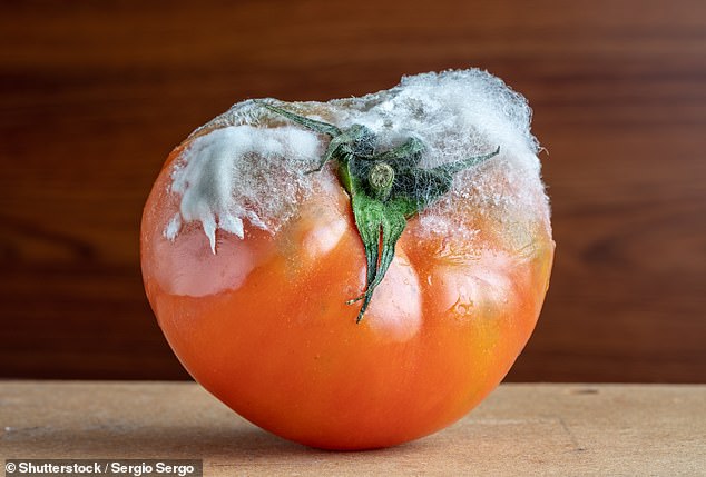 Soft fruit and vegetables, such as tomatoes (photo), are less resistant to mold than harder fruit or vegetables, such as carrots