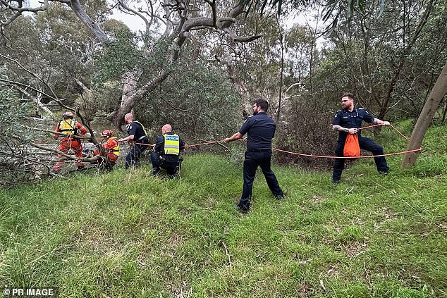 Madi, 29, was walking her rescue dog Minka along the Werribee River in Melbourne's west around 1.30pm on Boxing Day when the dog jumped in