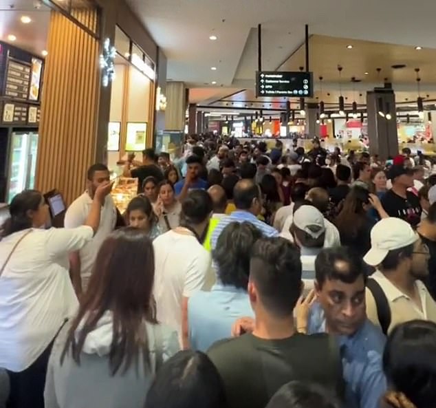 Wild footage has revealed hundreds of shoppers descended on DFO in Homebush on Boxing Day to try and take advantage of wild sales (pictured)