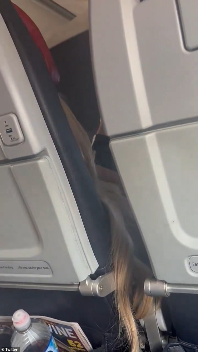 Nicole Schreib was getting ready to travel from New York to Miami on an American Airlines flight when a very drunk woman sat in front of her (pictured) - and threw up on her bags