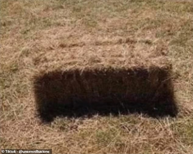 The image consists of a photo of a bale of hay that is perfectly camouflaged in the surrounding grassland, but upon closer inspection it seems to blend in so well that only a gap or shadow can be seen.