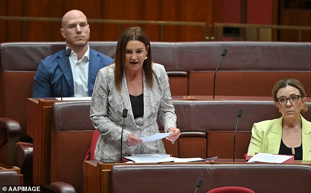 Independent Senator Jacqui Lambie has accused Coles and Woolworths of behaving like a 'cartel' and ripping off hardworking Australians in the run-up to Christmas