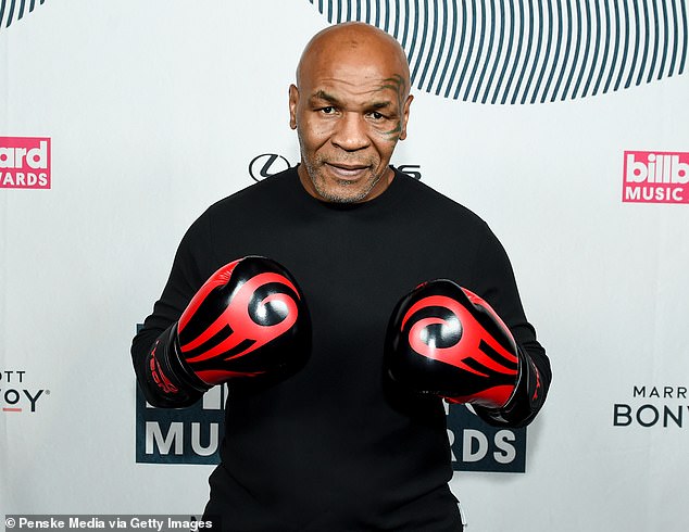 Mike Tyson was caught on camera punching Melvin Townsend repeatedly after becoming irritated by him during a flight to Florida