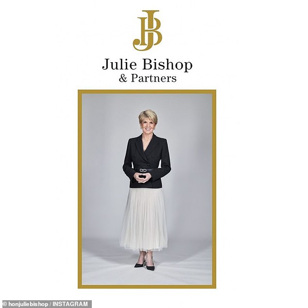 Julie Bishop has launched her own 'boutique consultancy' offering her personal services in everything from business development to social media influencing