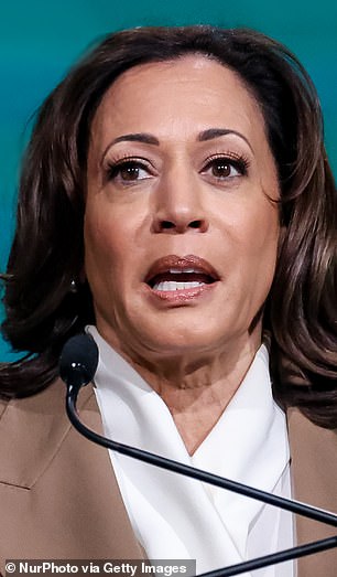 Vice President Kamala Harris