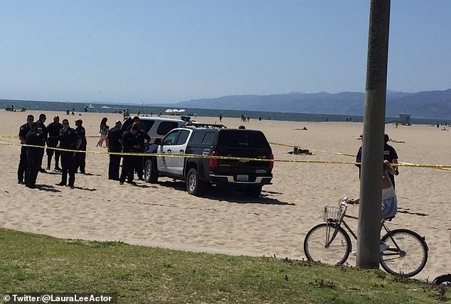 LAPD officers knocked another beachgoer onto the sand around the time Powell was hit