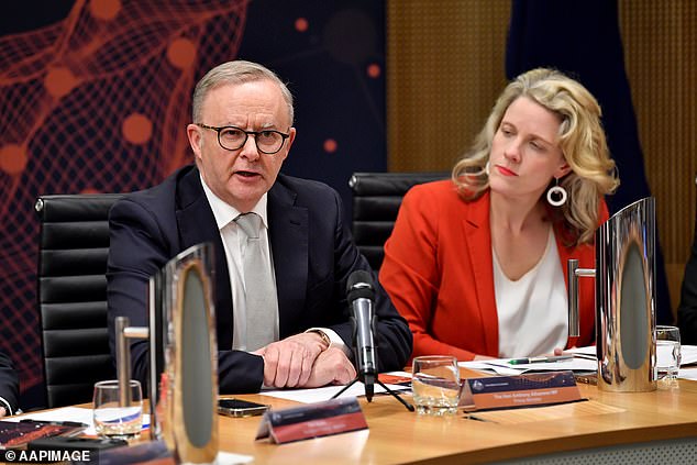 The (left-wing) government of Prime Minister Anthony Albanese is now promising to reduce immigration by 185,000 in four years by cracking down on international student visas.  Home Secretary Clare O'Neil (right) released a new migration strategy on Monday to tackle dodgy behavior in the migration system