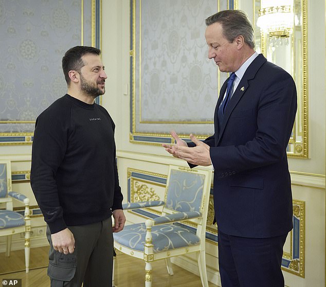 Ukrainian President Volodymyr Zelenskyy, left, speaks with British Foreign Secretary David Cameron in Kiev, Ukraine, on November 15