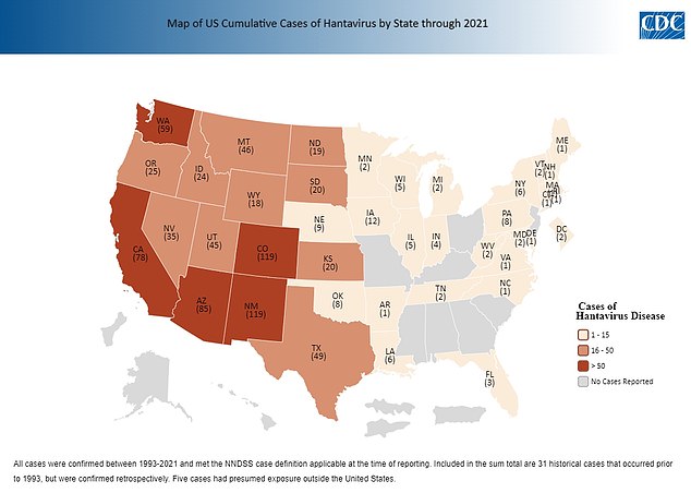 About 300 Americans contract hantaviruses each year, and the fatality rate can be as high as 60 percent