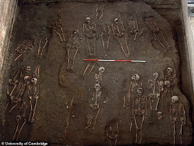 Researchers analyzed the remains of more than 400 humans from the main cemetery of St John the Evangelist Hospital in Cambridge