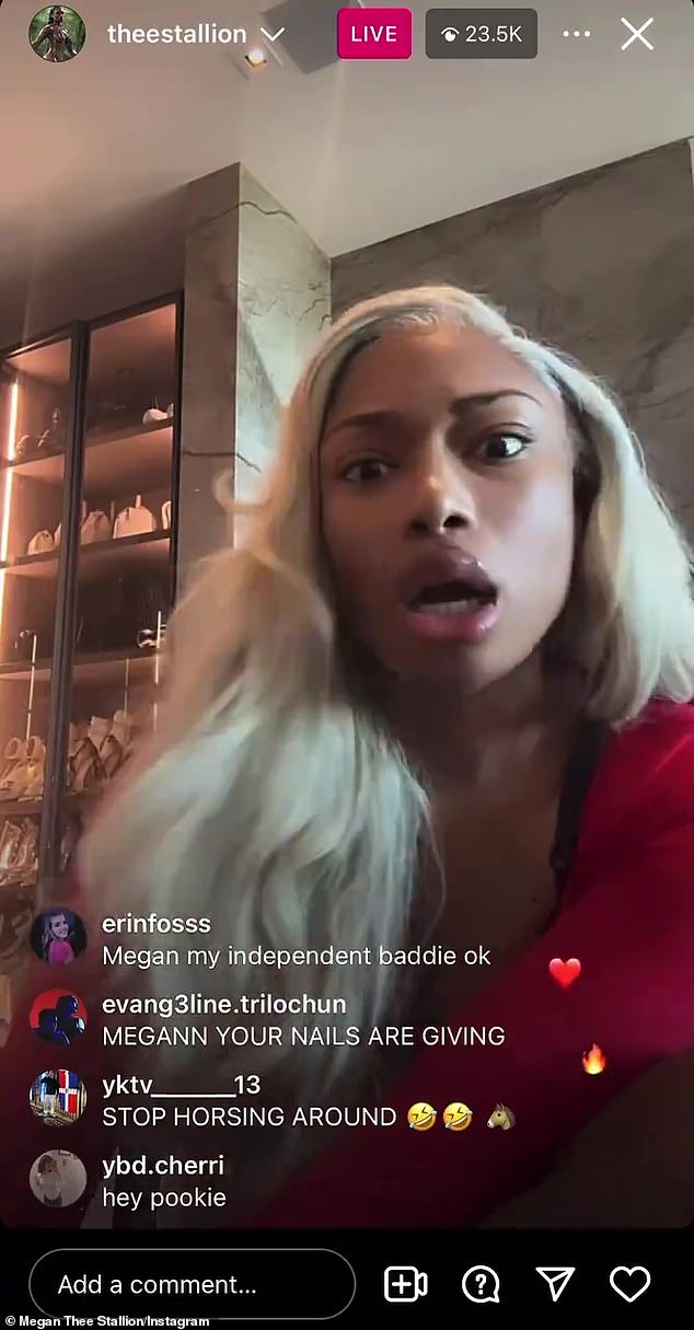 Megan Thee Stallion, 28, ripped into her ex-boyfriend Pardison Fontaine over his past infidelity in an Instagram Live clip on Wednesday