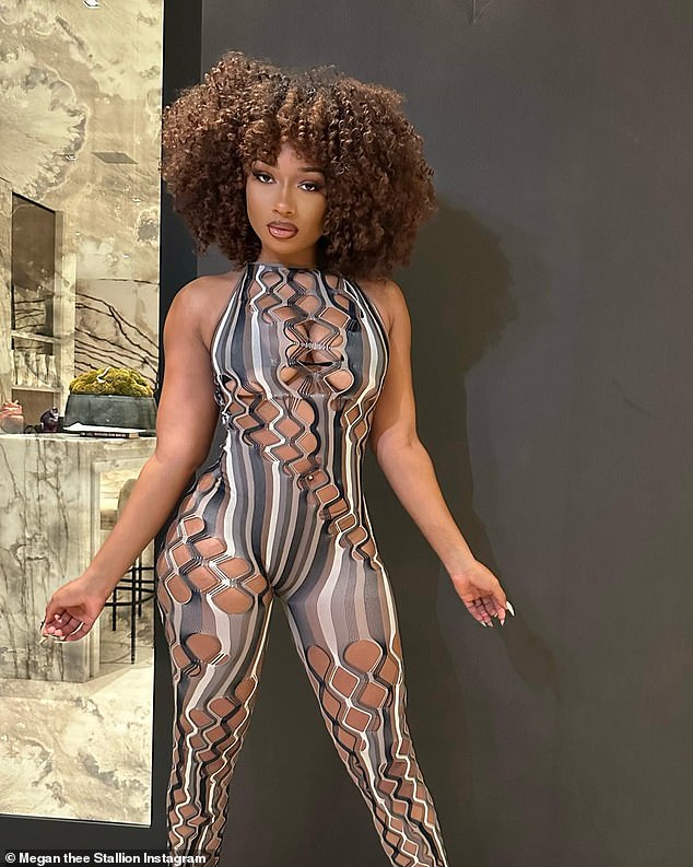 Megan Thee Stallion showed off her fabulous curves in a figure-hugging black, gray and white striped halterneck catsuit