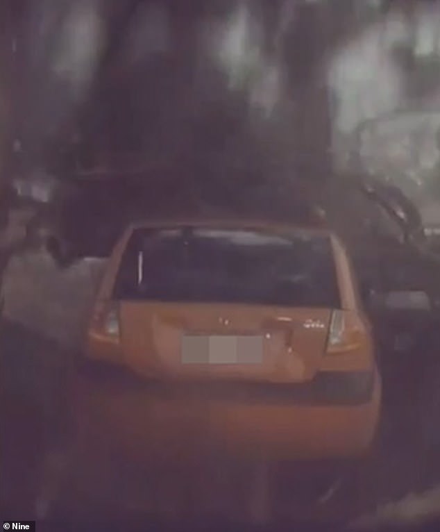 The car was destroyed by the tree branches (photo) after the tree was struck by lightning