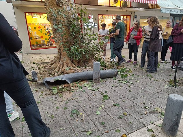 The metal casing of a rocket (pictured) hit a tree as the two boys walked just inches away