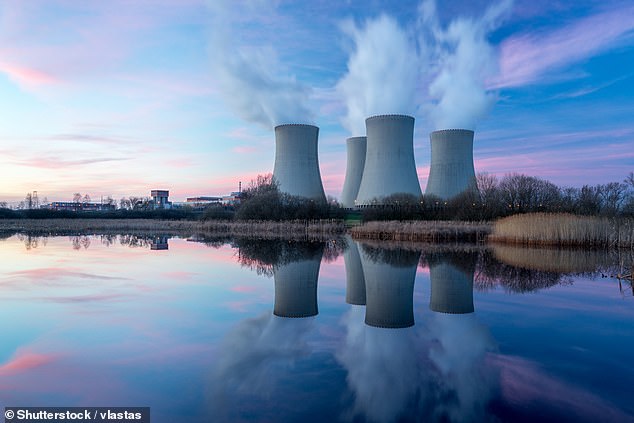 Nat Barr has questioned why Anthony Albanese's government is stubbornly refusing to import nuclear energy, saying Australia is now an 'outlier' (pictured: a nuclear power station).