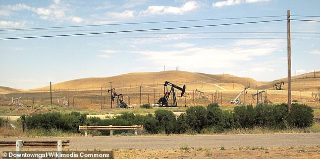 The scorpion, which was photographed for the first time amidst industrial garbage, has survived harsh conditions amid oil extraction and chemically intensive agriculture in central California.