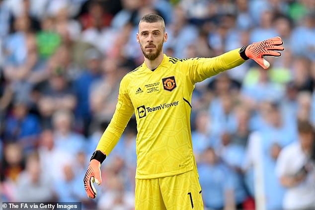 Newcastle are considering a possible move for former Manchester United goalkeeper David de Gea