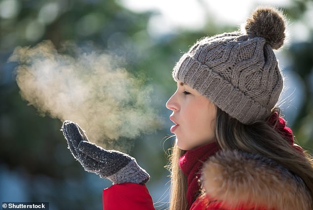 Whether it's eating less meat or cycling instead of driving, humans can do many things to help prevent climate change.  Unfortunately, breathing less isn't one of them (stock image)