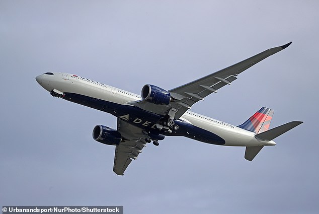 Delta said it has staff at every airport to assist disabled passengers and said no violation occurred because Chang chose to board the flight