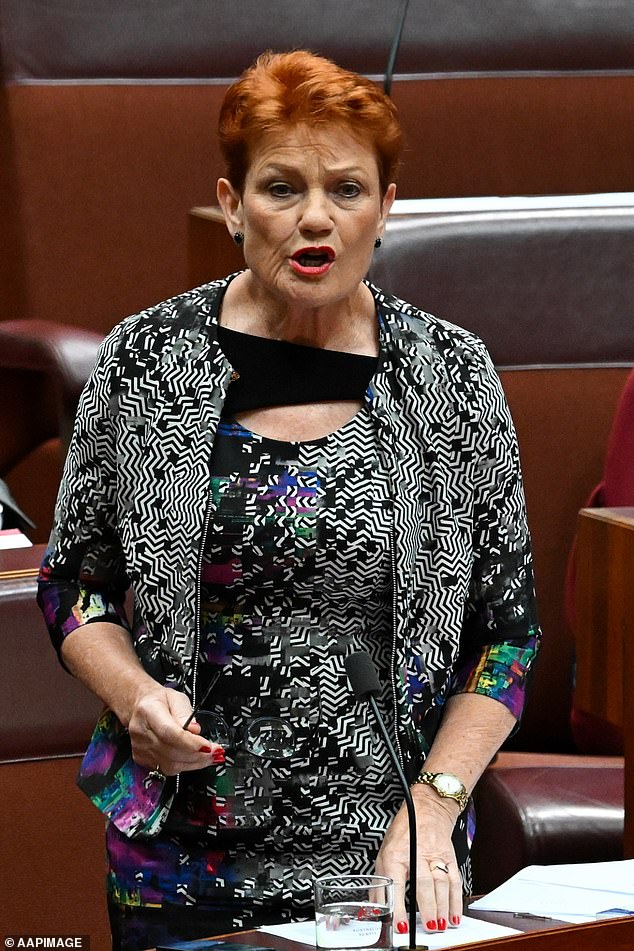 Pauline Hanson teased an 