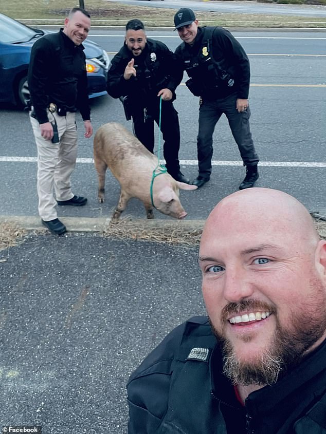 The police officers reunited Albert Einswine with his owner later that day
