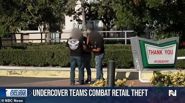 The Los Angeles Sheriff's Department's Shoplifting Task Force and the California Highway Patrol have stepped up efforts to stop flash robbers in the city and state.