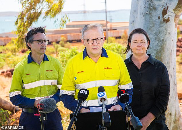 A new poll has found almost two-thirds of Aussies want Anthony Albanese's government to cut migration after numbers rose since the end of the pandemic.  The gentleman (centre) is pictured with Rio Tinto Chief Executive Iron Ore Simon Trott (left) and Federal Resources Minister Madeleine King (right)