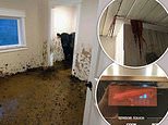 Property inspectors share the worst homes theyve been confronted with