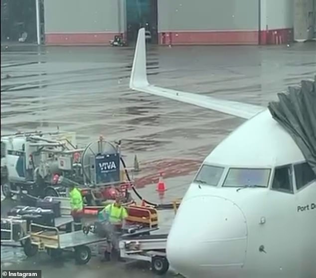 Qantas baggage handlers (pictured) have come under fire after roughly throwing a band's instruments onto a conveyor belt