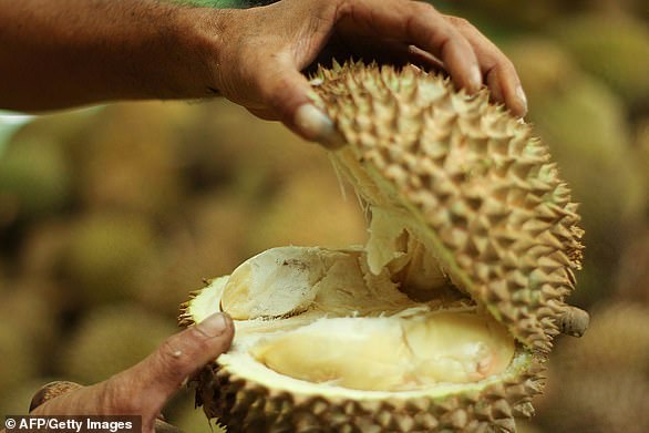 Bard suggested that families avoid durian fruit