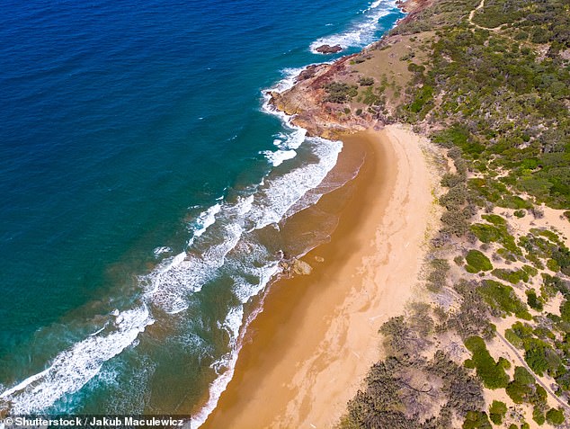 Paramedics from the ambulance service were called to 1770 beach around 4pm on Friday after reports of an injured swimmer