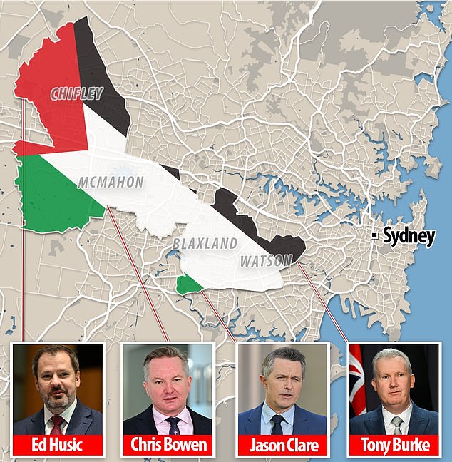 Overwhelmingly, politicians who have expressed strong beliefs either way represent communities more directly involved in the conflict.  Four of Palestine's strongest supporters represent diverse communities with large Muslim populations