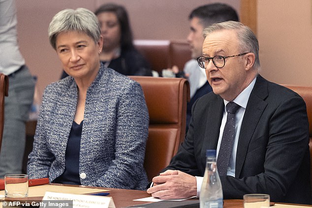 After months of Labor officially supporting Israel's right to defend itself, Prime Minister Anthony Albanese and Foreign Minister Penny Wong shocked some within the caucus when they backed a UN call for a ceasefire.