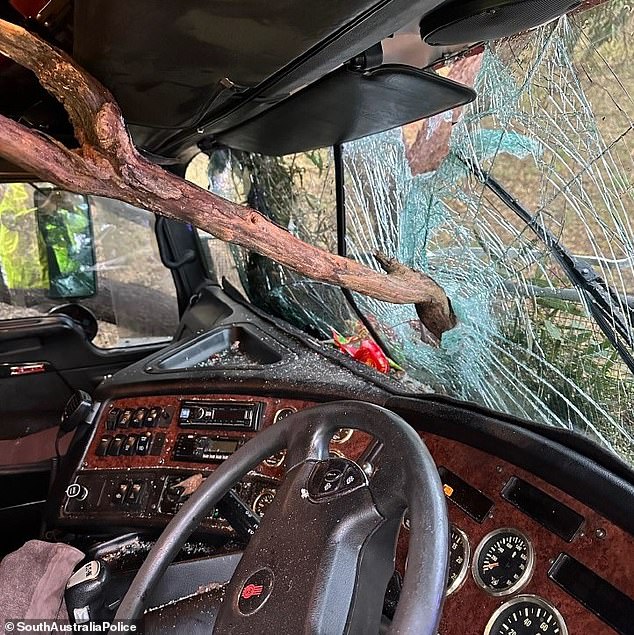 A truck driver, 62, narrowly avoided death after crashing his truck west of Bordertown in South Africa at 6am on Saturday