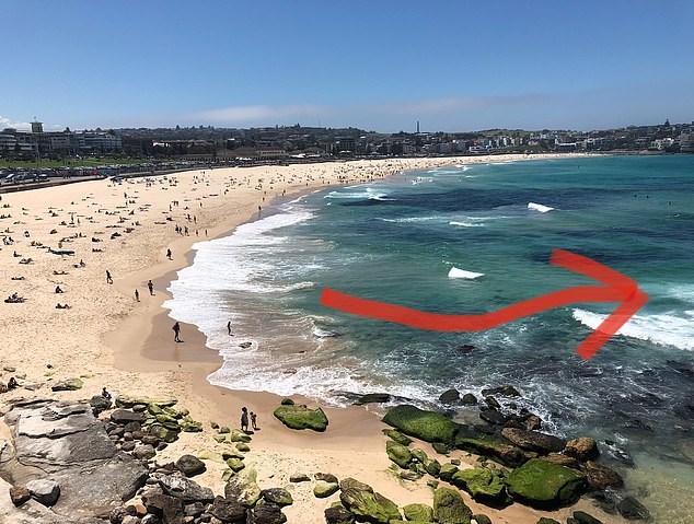 Speaking to FEMAIL, the veteran lifeguard pointed out that the 'innocent' area of ​​water at the bottom of the image was actually one of the most dangerous cracks at Bondi (the arrow shows the crack running from close to shore, all the way back)