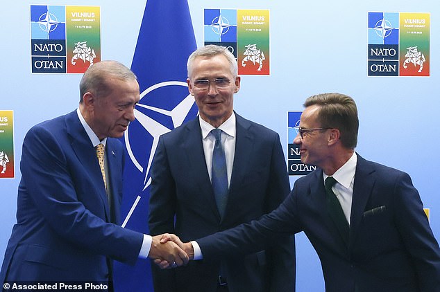 Turkish President Recep Tayyip Erdogan, left, shakes hands with Swedish Prime Minister Ulf Kristersson, right, as NATO Secretary General Jens Stoltenberg looks on (File image)