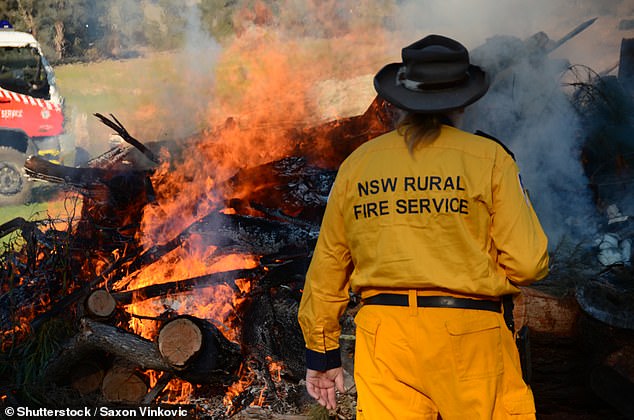 Firefighters quickly extinguished the flames, which also set fire to grass and trees nearby after the crash claimed the teen's life (Image from a NSW Rural Fire Service battling a bushfire)