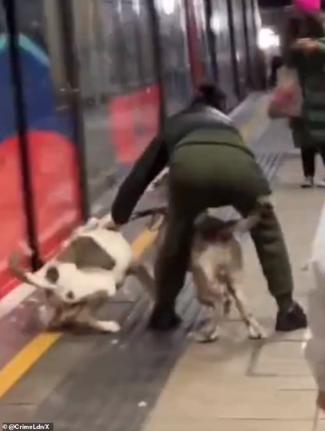 When the owner (pictured) finally catches the second dog, the terrified man runs away just before the train stops on the platform