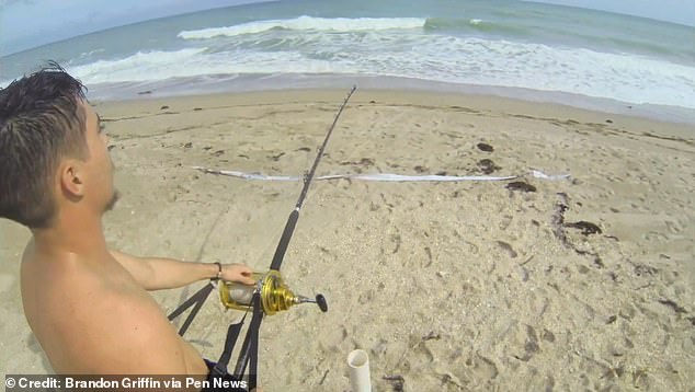 Brandon Griffin, from south Florida in the US, and his friend were amazed when they caught a 3-metre hammerhead shark