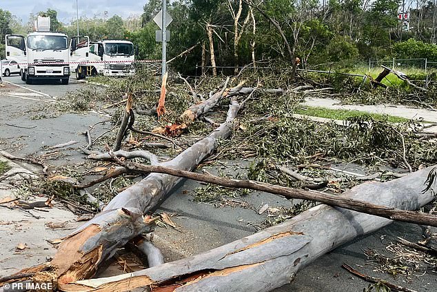 'Unprecedented' storms on the Gold Coast ripped trees apart (photo, branches in Oxenford)