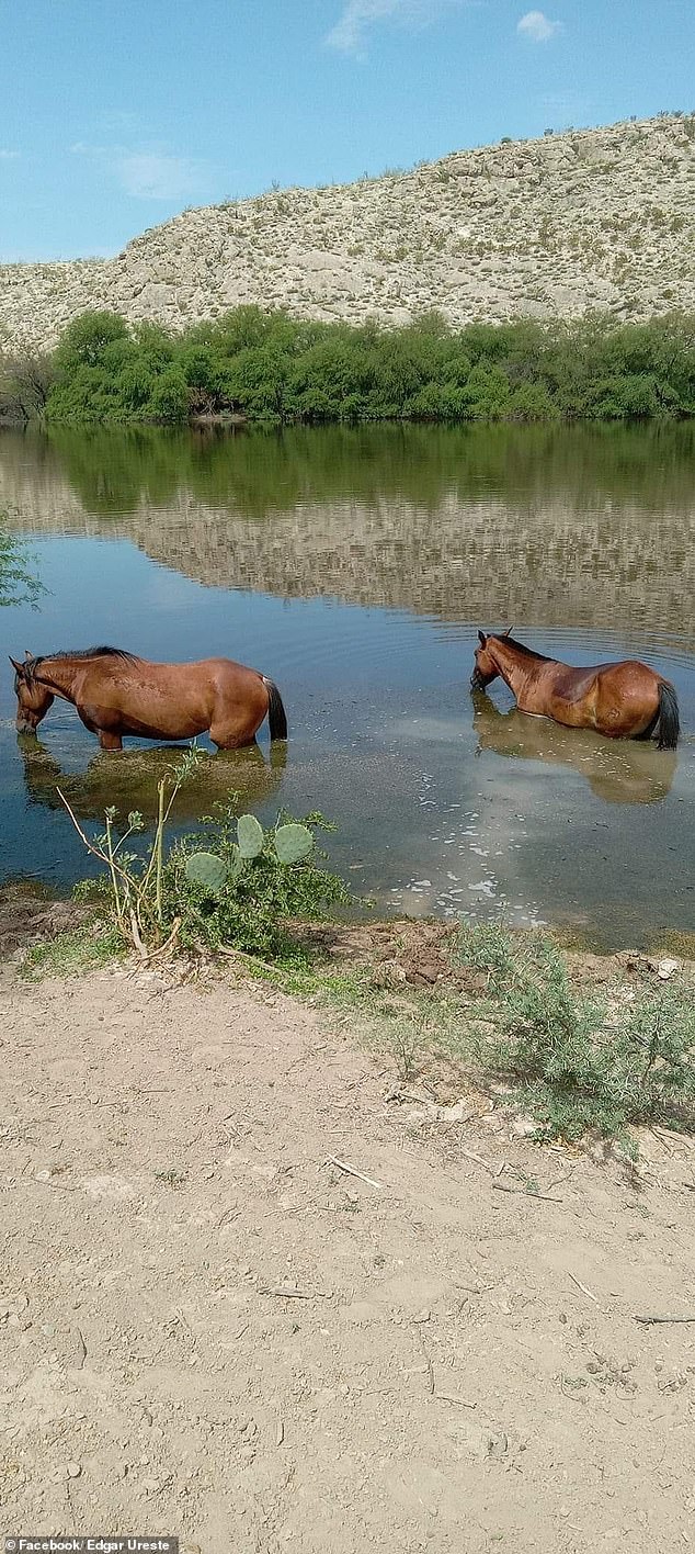 Corona (left) waded across the Rio Grande to enter Texas