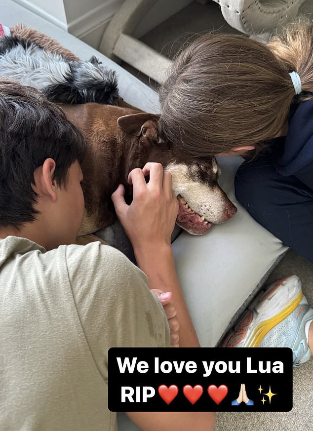 Tom Brady's dog Lua died heartbreakingly two days before Christmas