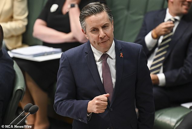 Health Minister Mark Butler (pictured) has publicly said users will not be punished for having a vape, claiming government action will target suppliers and sellers